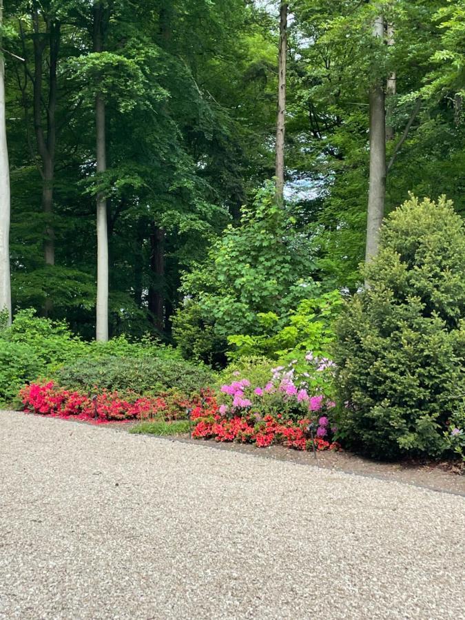 Villa Rozenhof 알멘 외부 사진
