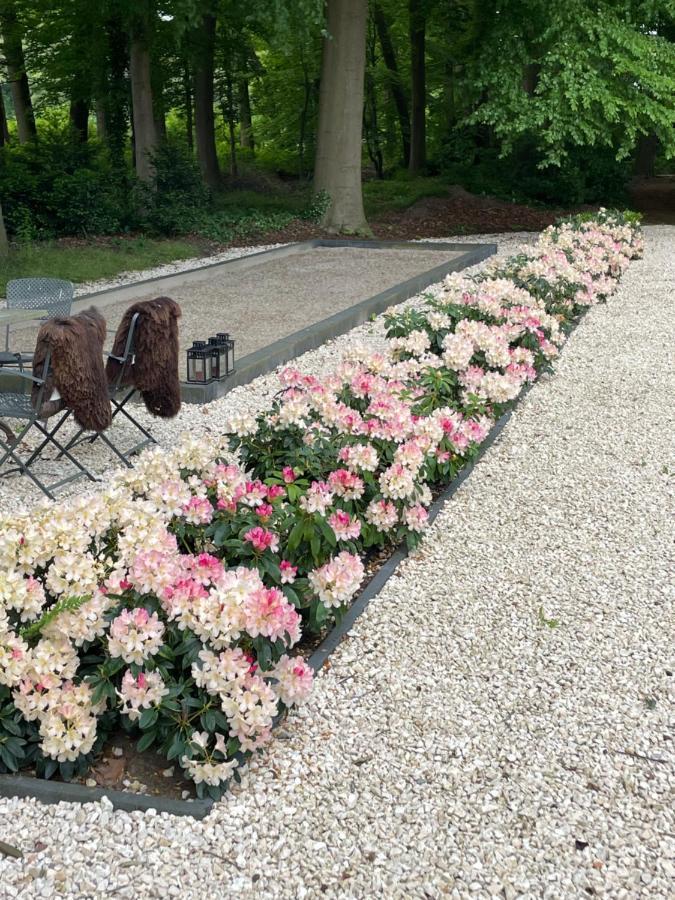 Villa Rozenhof 알멘 외부 사진